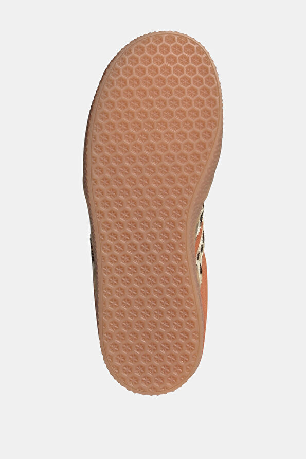 Vakkorama6 Vakkorama6