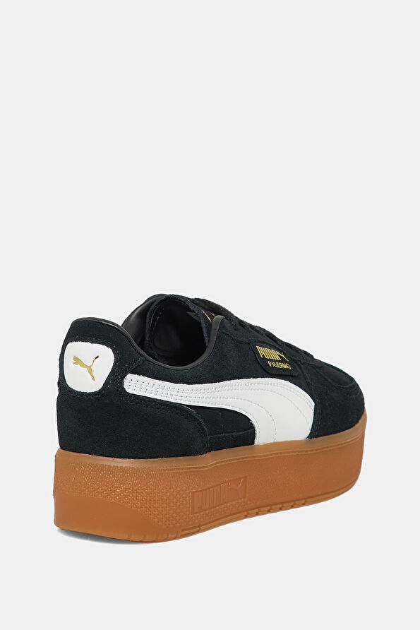 Vakkorama3 Vakkorama3