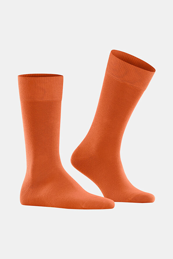 Vakkorama2 Vakkorama2