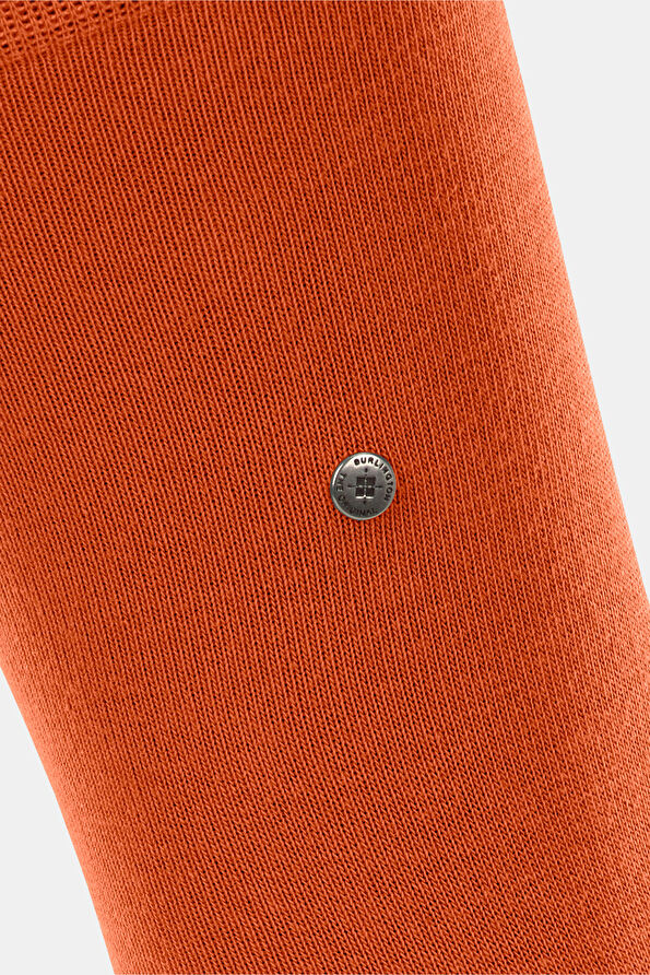 Vakkorama3 Vakkorama3