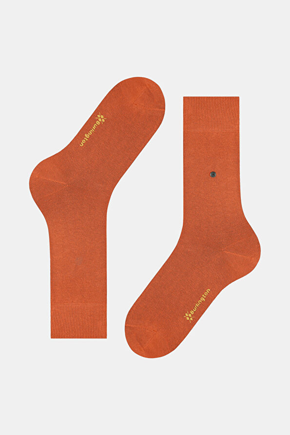 Vakkorama4 Vakkorama4