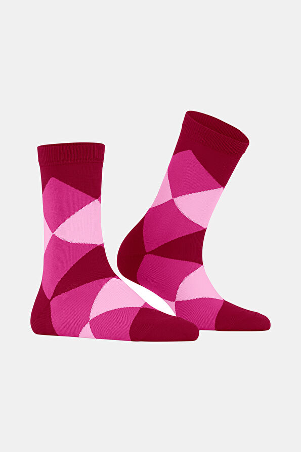 Vakkorama2 Vakkorama2