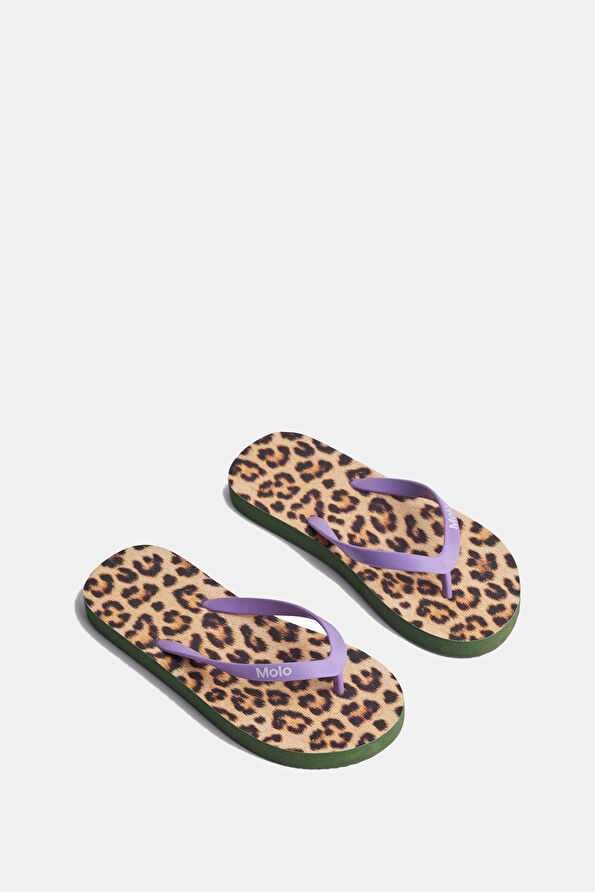 Vakkorama2 Vakkorama2