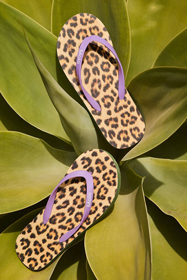 Vakkorama3 Vakkorama3