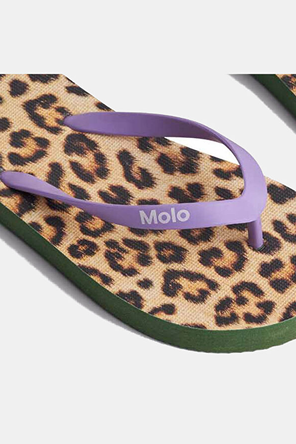 Vakkorama4 Vakkorama4