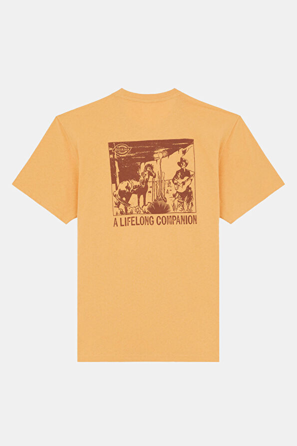 Vakkorama2 Vakkorama2