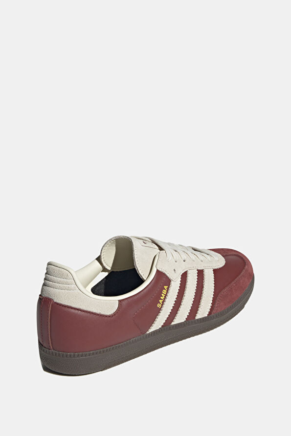 Vakkorama4 Vakkorama4