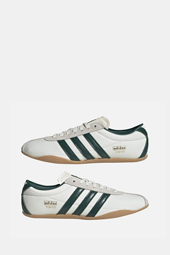 Vakkorama7 Vakkorama7