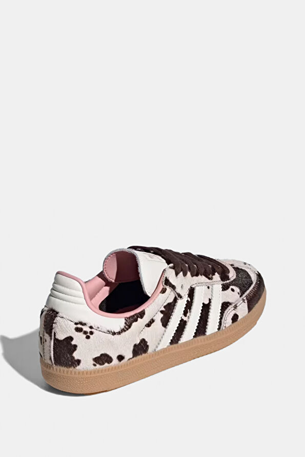 Vakkorama5 Vakkorama5