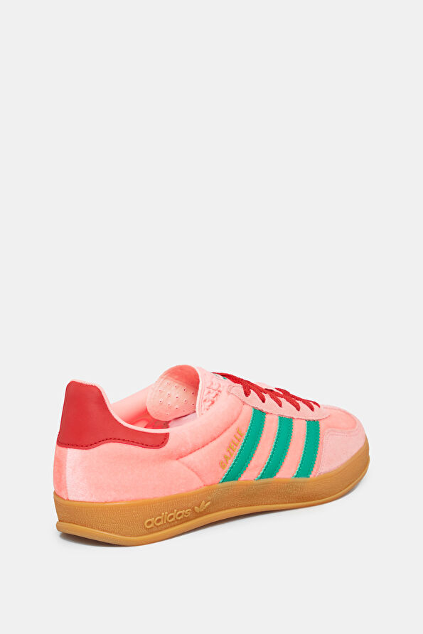 Vakkorama3 Vakkorama3