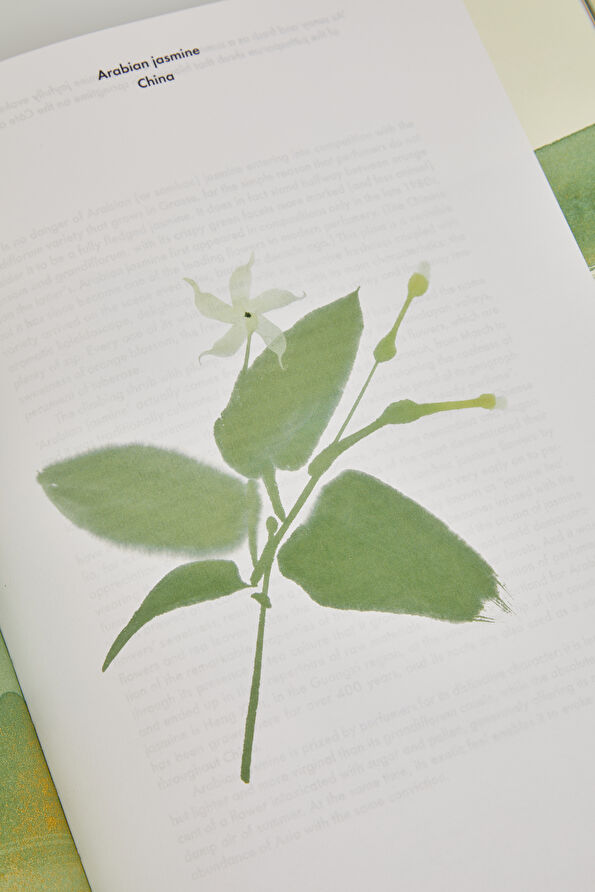 Vakkorama7 Vakkorama7