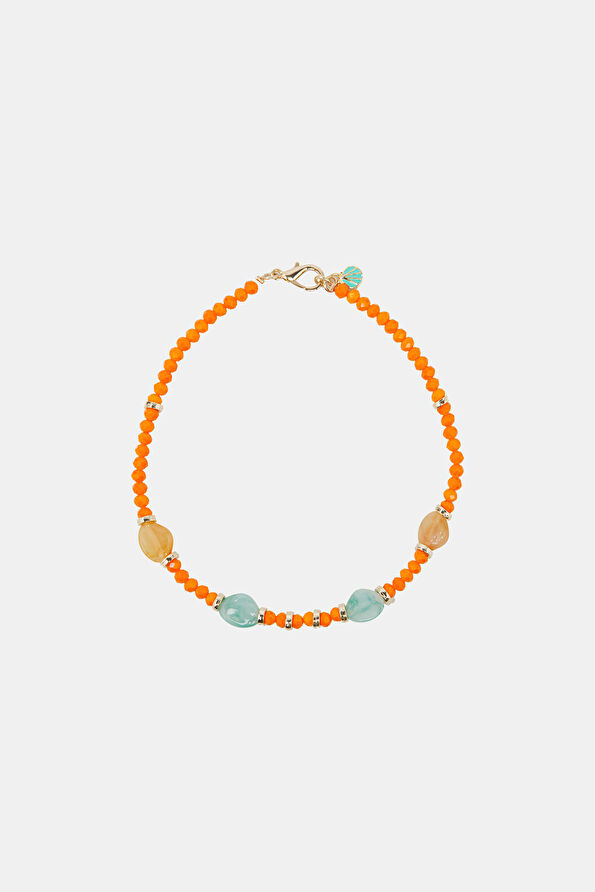 Vakkorama1 Vakkorama1