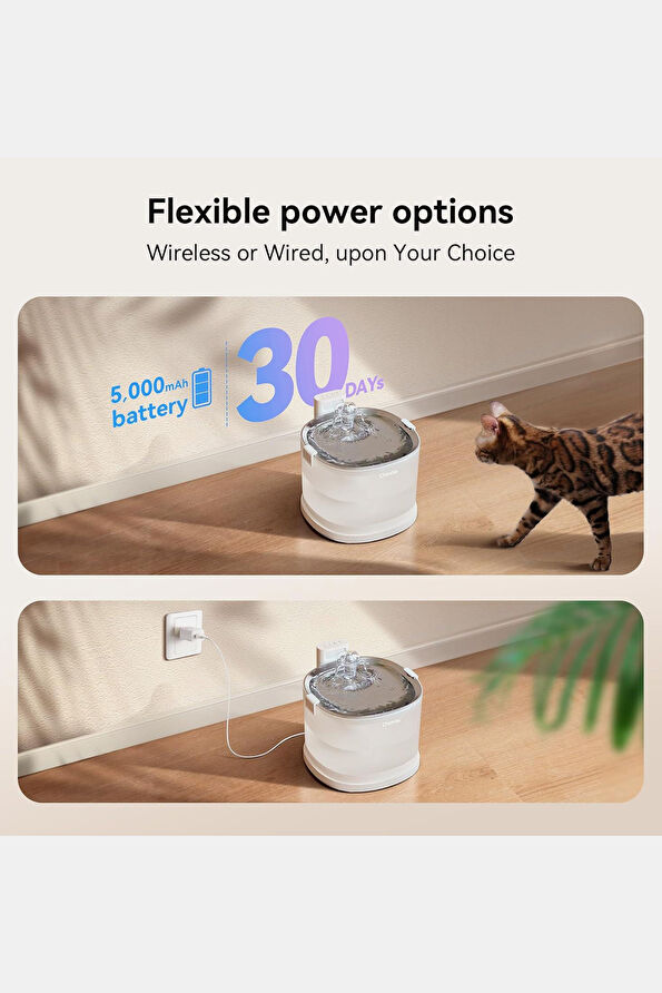 Vakkorama5 Vakkorama5