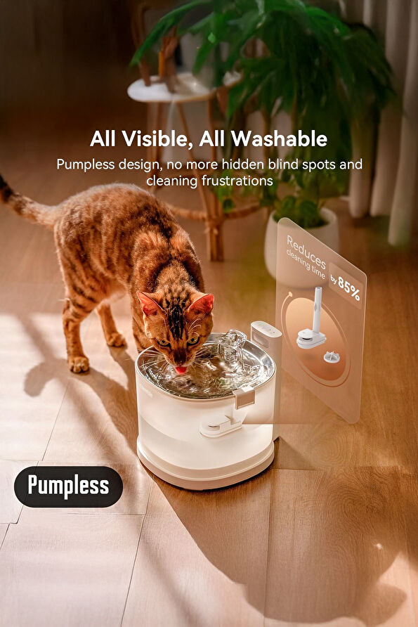 Vakkorama8 Vakkorama8