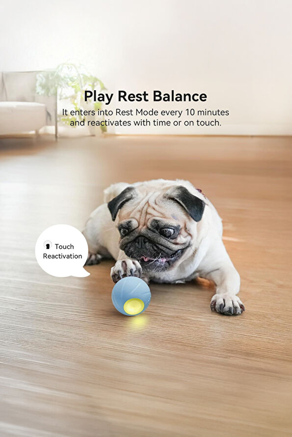 Vakkorama8 Vakkorama8