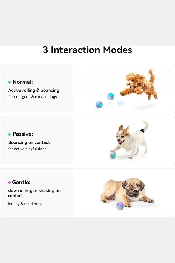 Vakkorama9 Vakkorama9