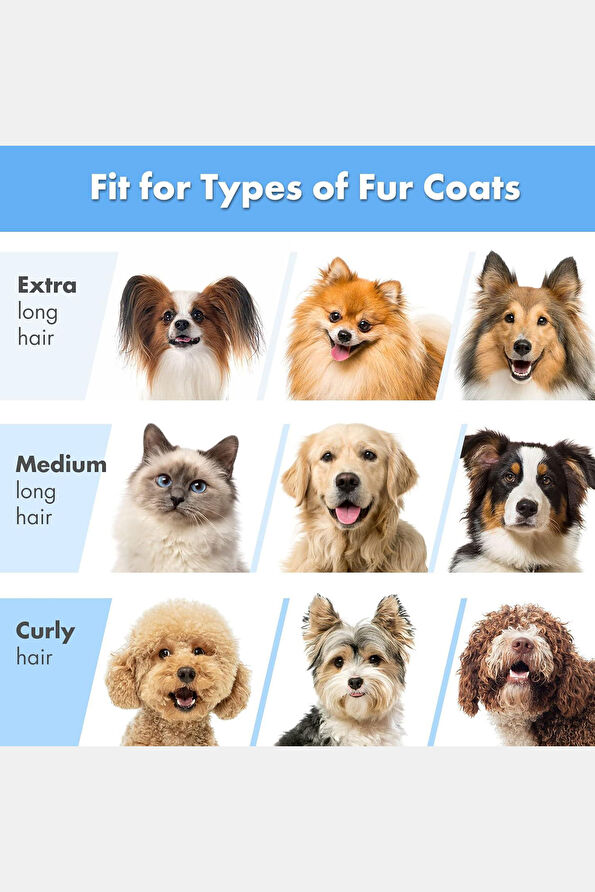 Vakkorama3 Vakkorama3