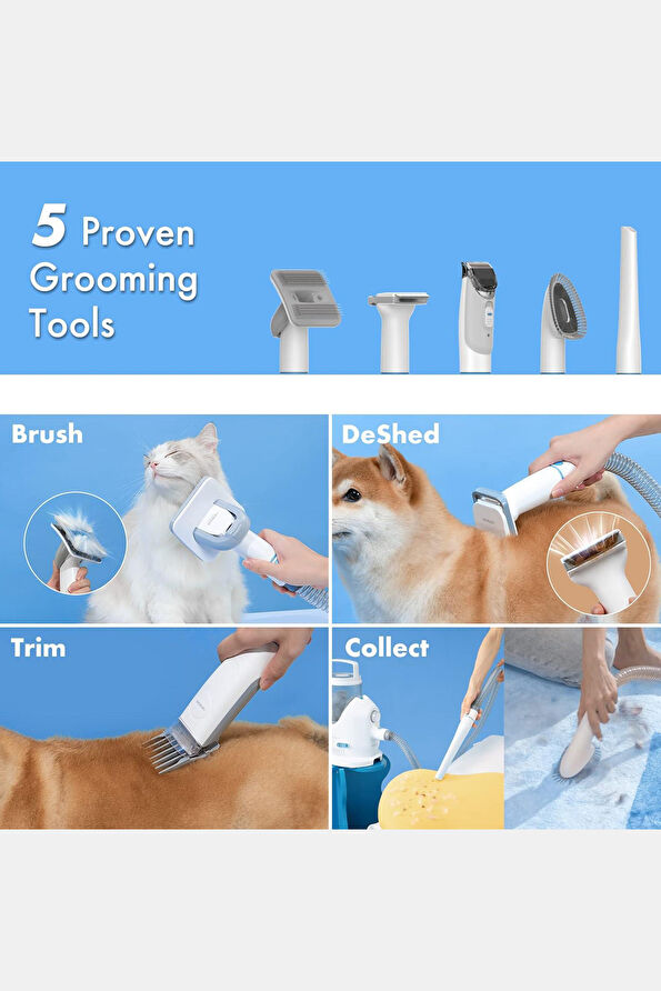 Vakkorama8 Vakkorama8