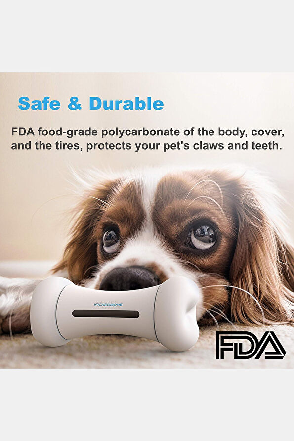 Vakkorama6 Vakkorama6