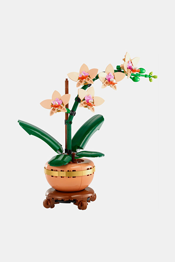 Vakkorama1 Vakkorama1