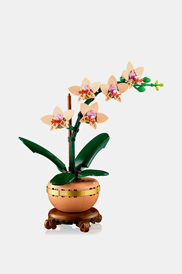 Vakkorama4 Vakkorama4