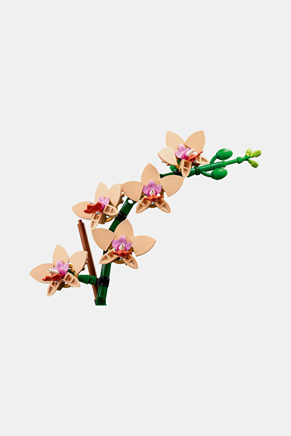 Vakkorama5 Vakkorama5