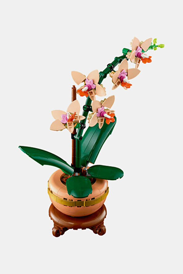 Vakkorama6 Vakkorama6