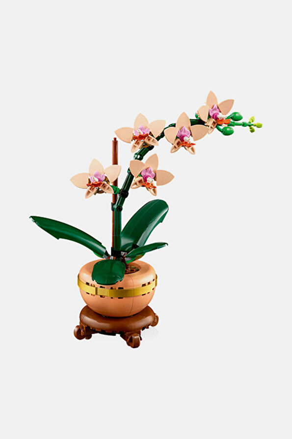 Vakkorama7 Vakkorama7