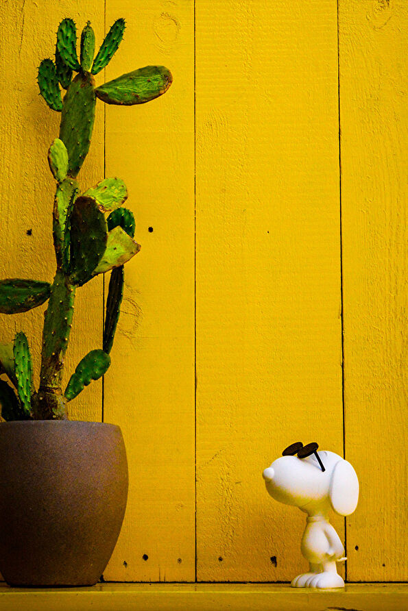 Vakkorama3 Vakkorama3