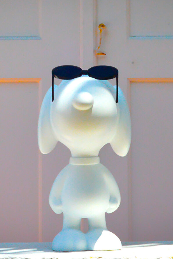 Vakkorama5 Vakkorama5