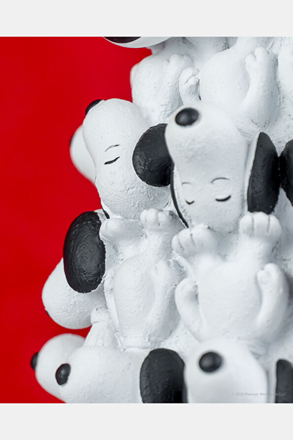 Vakkorama8 Vakkorama8