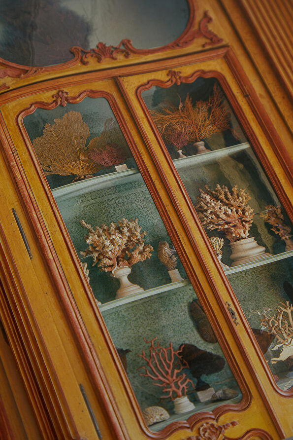 Vakkorama12 Vakkorama12