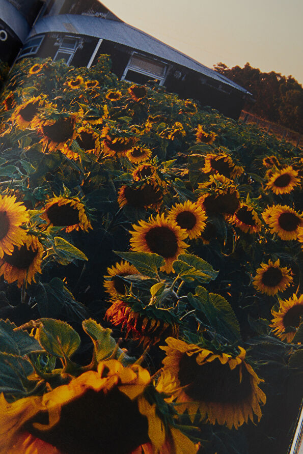 Vakkorama7 Vakkorama7