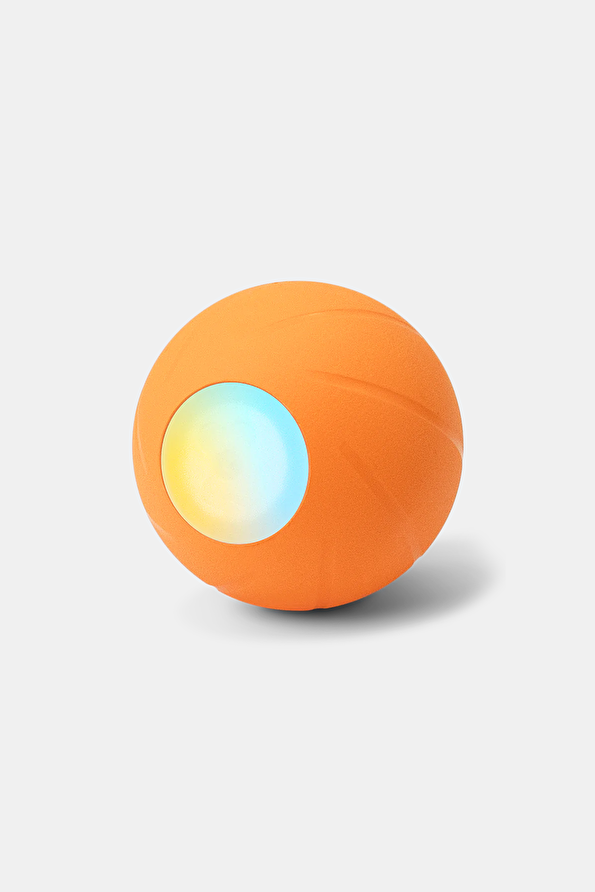 Vakkorama1 Vakkorama1