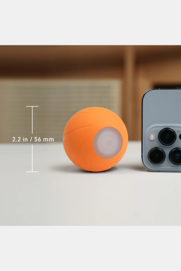 Vakkorama2 Vakkorama2