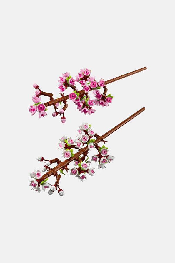 Vakkorama1 Vakkorama1