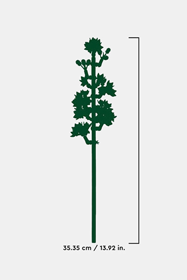 Vakkorama3 Vakkorama3