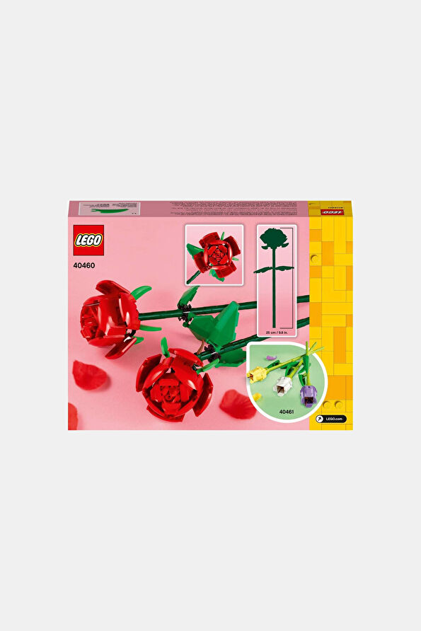 Vakkorama4 Vakkorama4