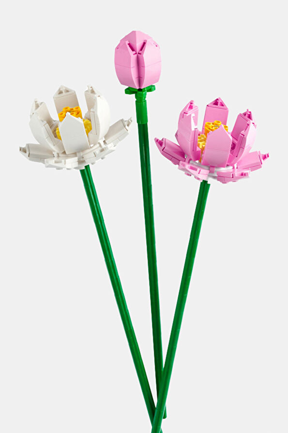 Vakkorama1 Vakkorama1