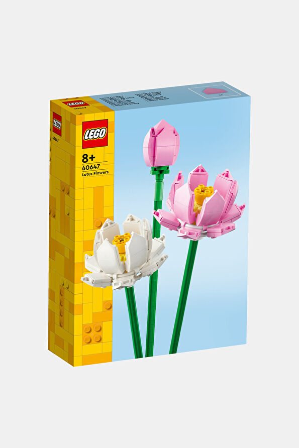 Vakkorama2 Vakkorama2