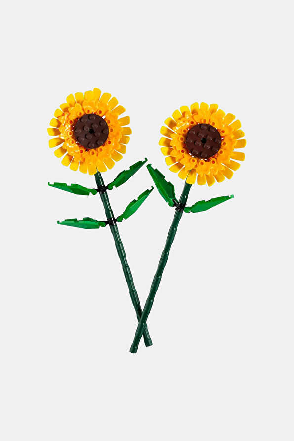 Vakkorama1 Vakkorama1