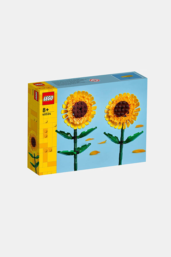 Vakkorama2 Vakkorama2