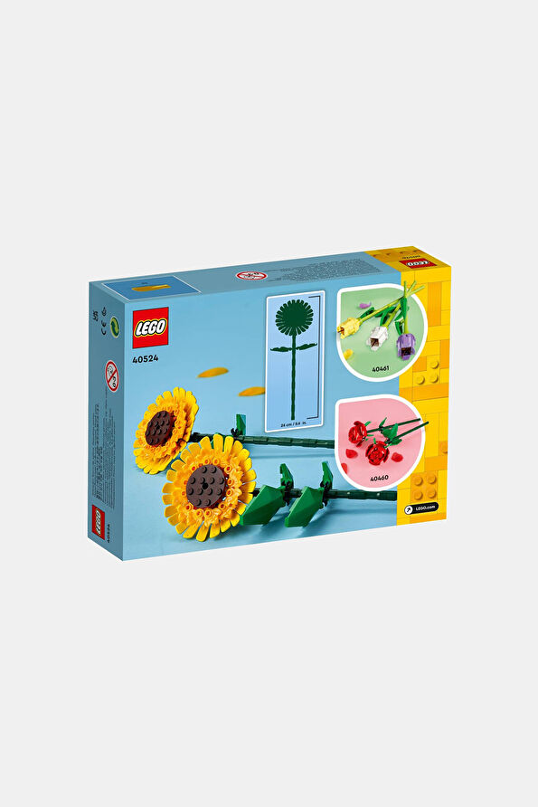 Vakkorama3 Vakkorama3