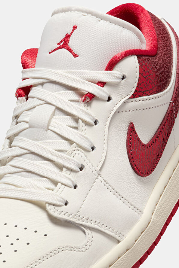 Vakkorama8 Vakkorama8