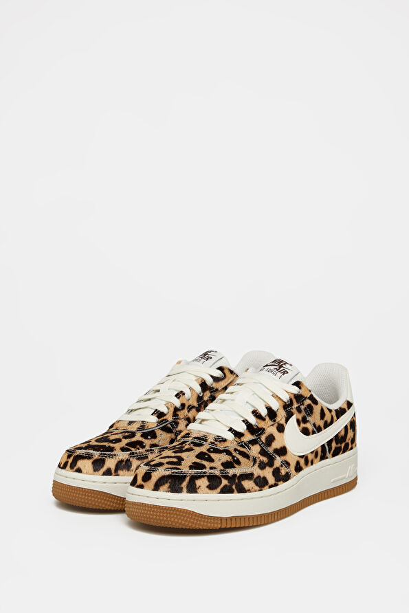 Vakkorama2 Vakkorama2