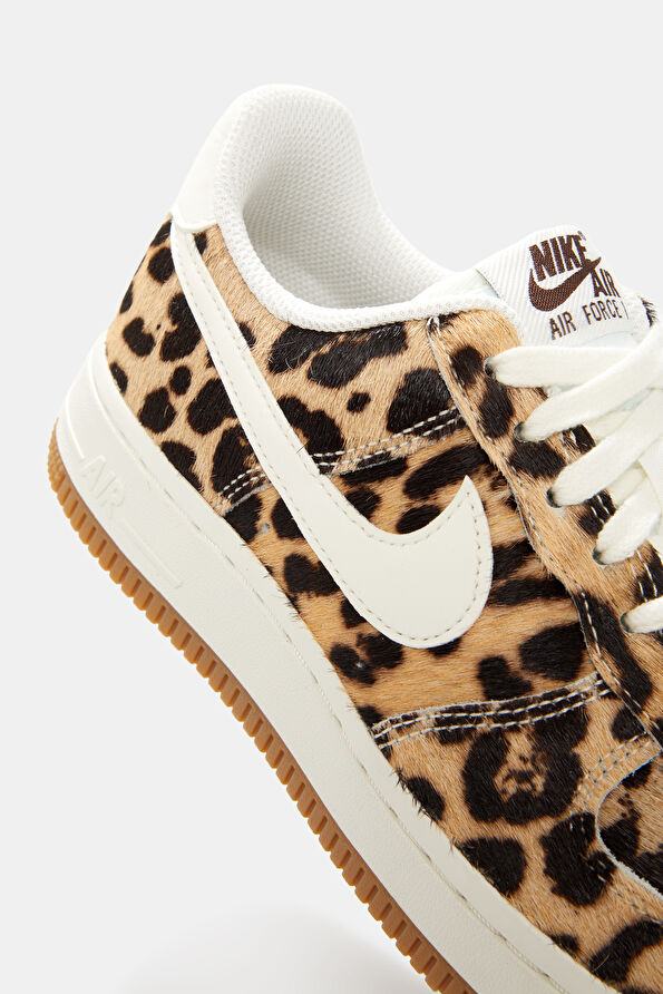 Vakkorama5 Vakkorama5