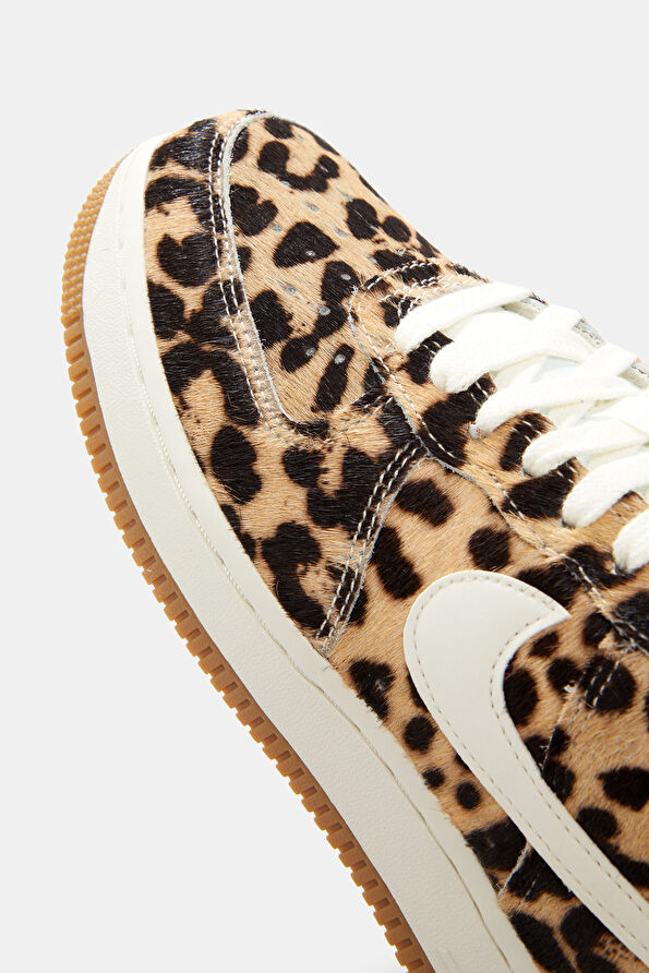 Vakkorama6 Vakkorama6