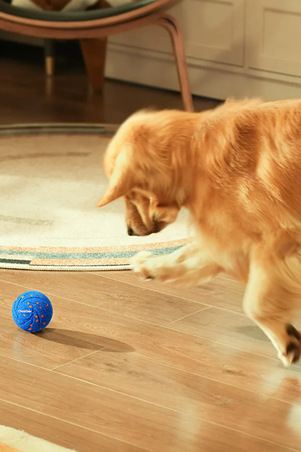 Vakkorama4 Vakkorama4