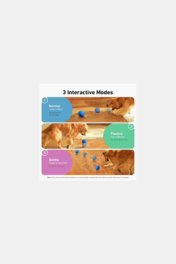 Vakkorama5 Vakkorama5
