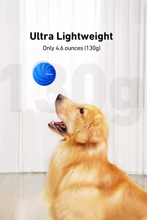 Vakkorama6 Vakkorama6